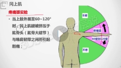 段佳强合集【网盘资源】