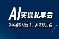 项目实战-AI实操私享会，各种ai变现玩法，AI变现