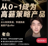 老白-从0-1成为高薪策略产品