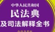 中华人民共和国民法典及司法解释全书（含指导