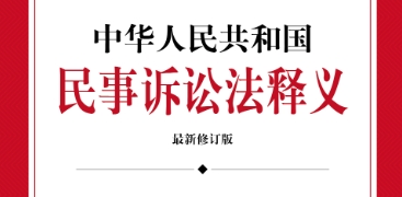 中华人民共和国民事诉讼法释义（3版）202312 王瑞