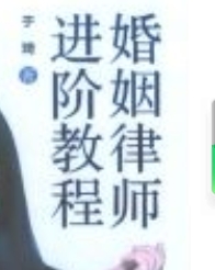 婚姻律师进阶教程 202311 于琦 pdf电子版下载