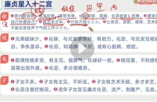 磊哥漫画说紫薇 26集 【网盘分享】