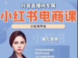 小红书电商高级运营课程【网盘资源】
