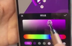 皮皮图文带货陪跑课程【网盘资源】