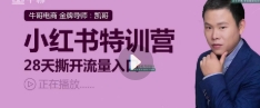 小红书运营系列课-28天撕开流量入口【网盘资源