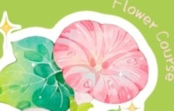 昭春落日2023年iPad水彩花卉课part1【网盘资源】