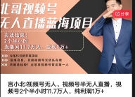 言小北_视频号无人、视频号半无人直播，视频号