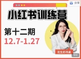 花生的书桌小红书训练营12期