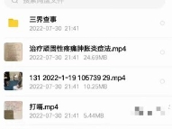 奉天承小凤仙玉女喜神术 全套教学86集视频+笔记