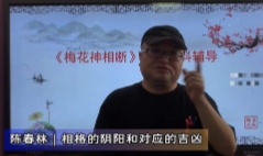 陈春林：梅花神相断8集【网盘资源】