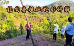 曾治瀚老师形峦教学讲解视频50集【网盘资源】