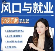 「风口与就业」学校不教系列_杨知只Vicky【网盘