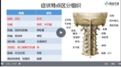 徐高磊肌骨疼痛检查评估系列课程75讲【网盘资源