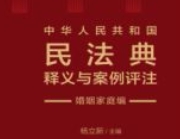 中华人民共和国民法典释义与案例评注：婚姻家