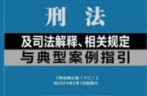 刑法及司法解释、相关规定与典型案例指引 202