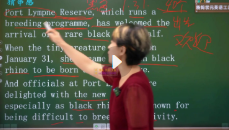 【中_高阶】杨妈英语二合一_杨妈状元英语【10