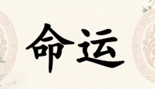 三诚老师易学特训营5天视频课程【网盘资源】