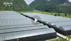 小学纪录片合集【网盘资源】