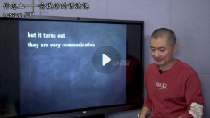 孙志立教你学通新概念英语四合一 七合一全套【