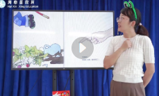 海平老师音乐绘本课程合集【网盘资源】