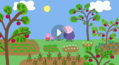 浅爸课程合集【网盘资源】